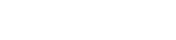 ZDGNS